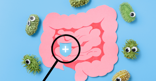 腸内細菌と消化器疾患:最新の研究と食生活の重要性(順天堂大学腸内フローラ研究講座の講演から)