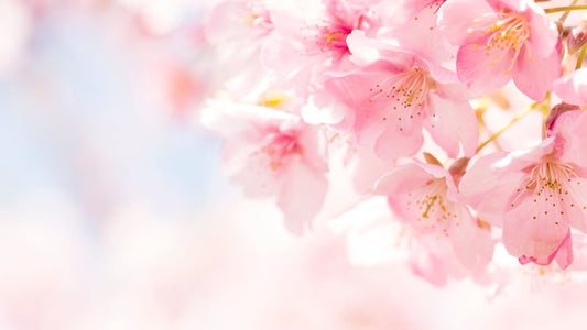 花粉アレルギーを腸から整える
