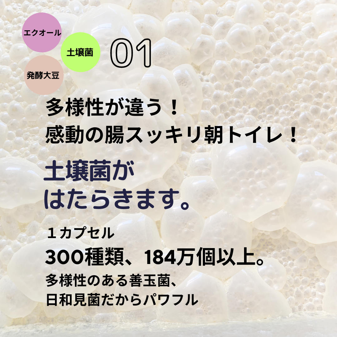 フェムソイ エクオール プラス