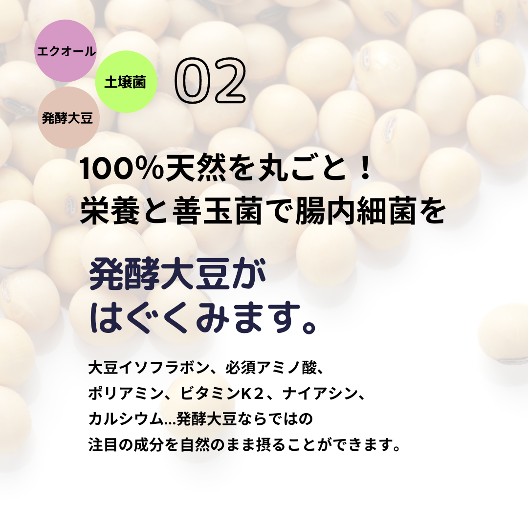 フェムソイ エクオール プラス