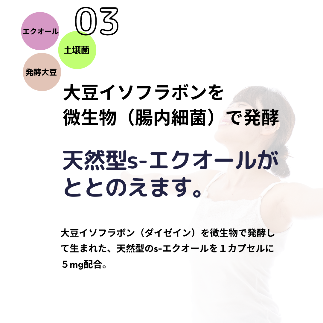 フェムソイ エクオール プラス