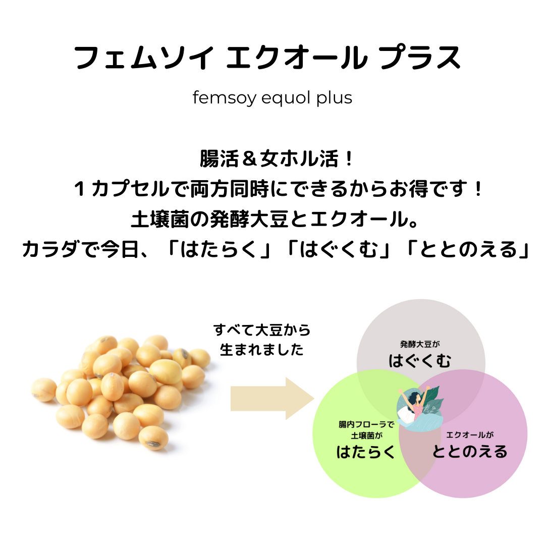 フェムソイ エクオール プラス