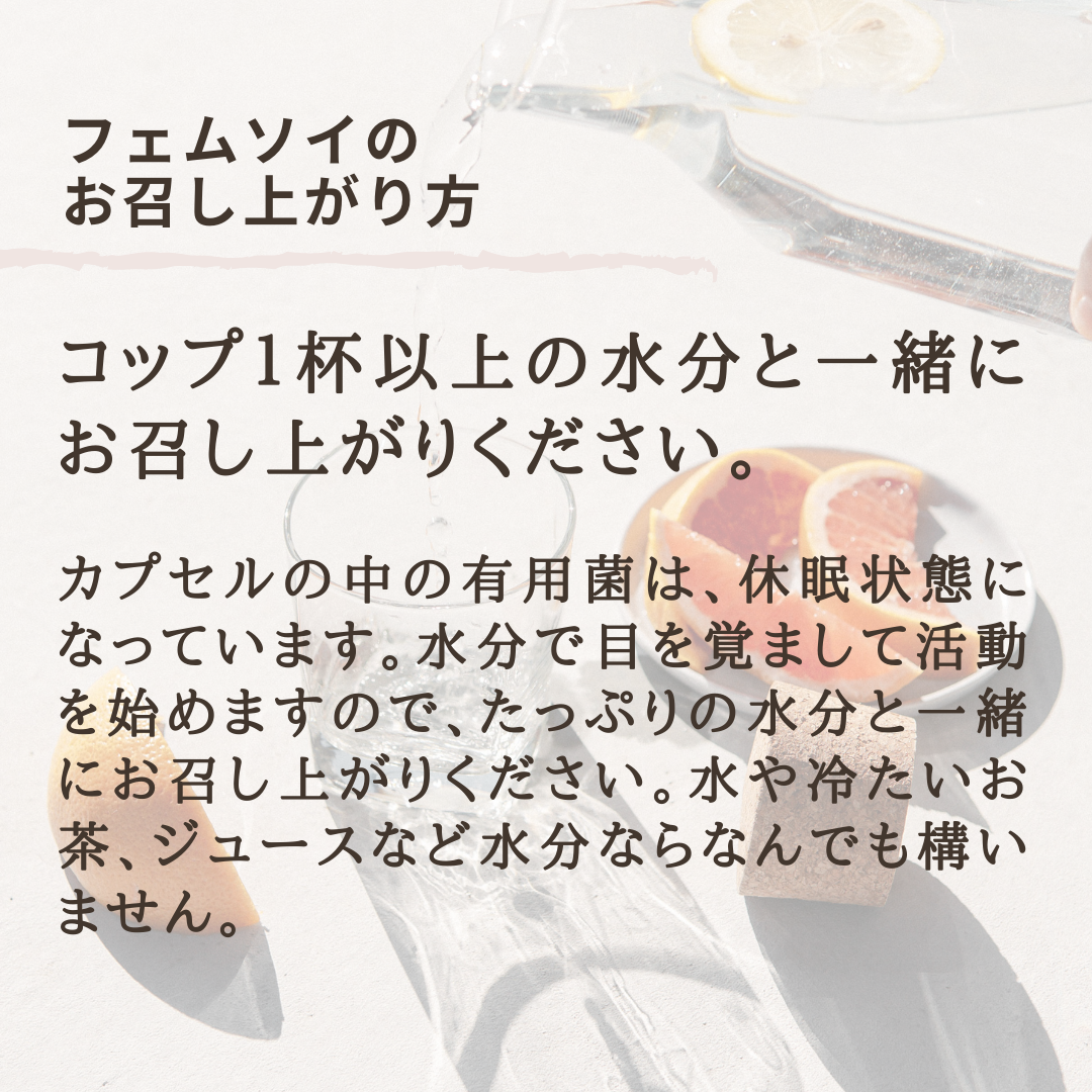 フェムソイ エクオール プラス