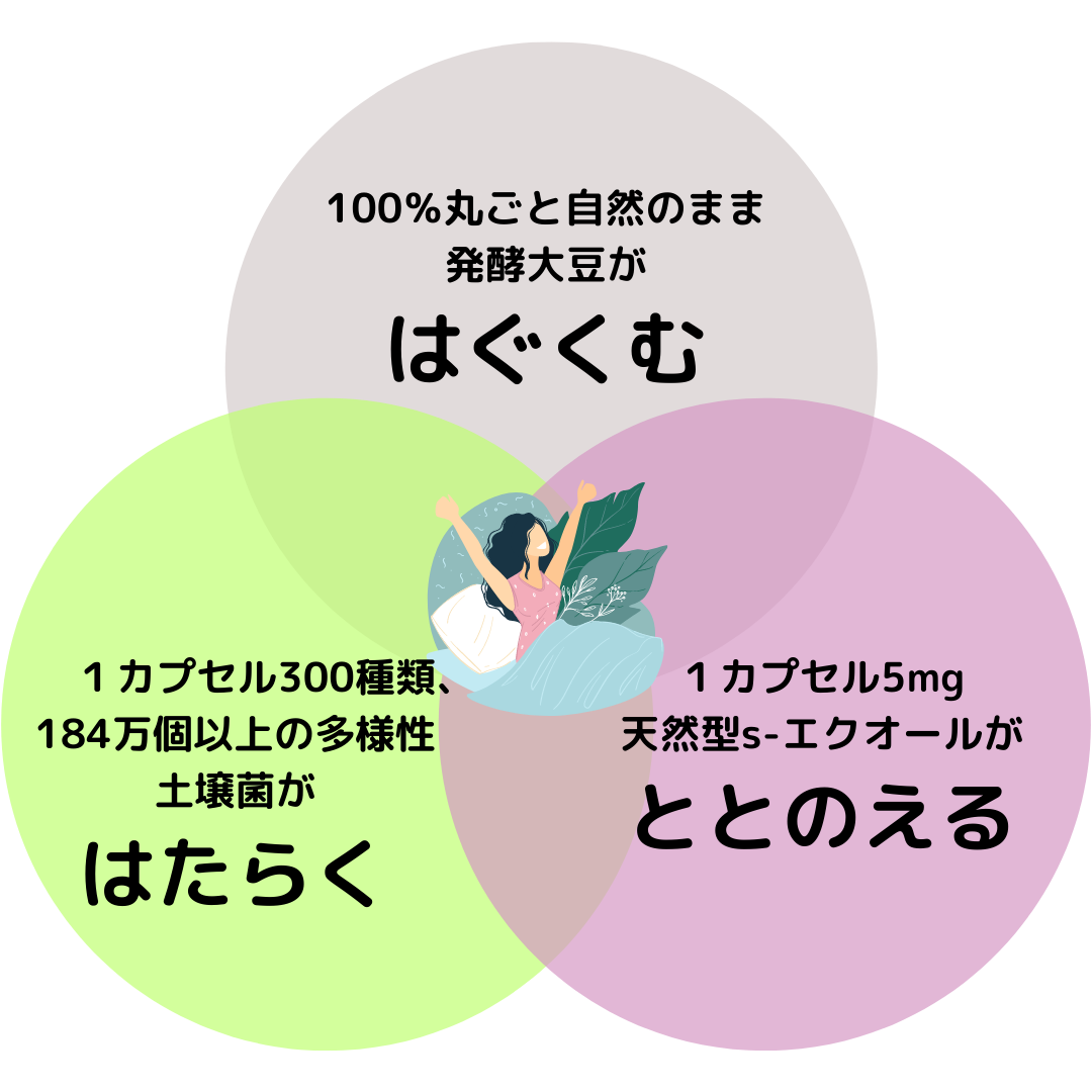 フェムソイ エクオール プラス 通常購入