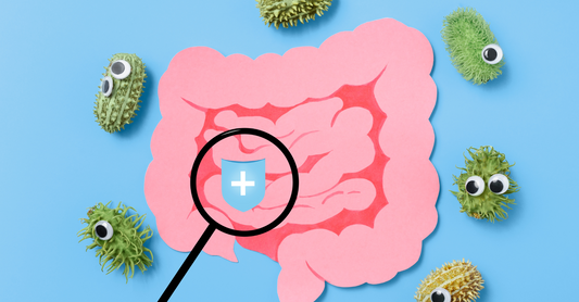 腸内細菌と消化器疾患：最新の研究と食生活の重要性（順天堂大学腸内フローラ研究講座の講演から）