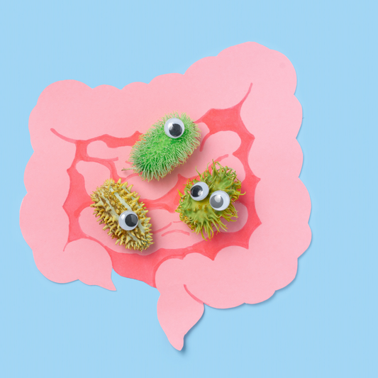 腸内細菌、ちゃんと見たことある？