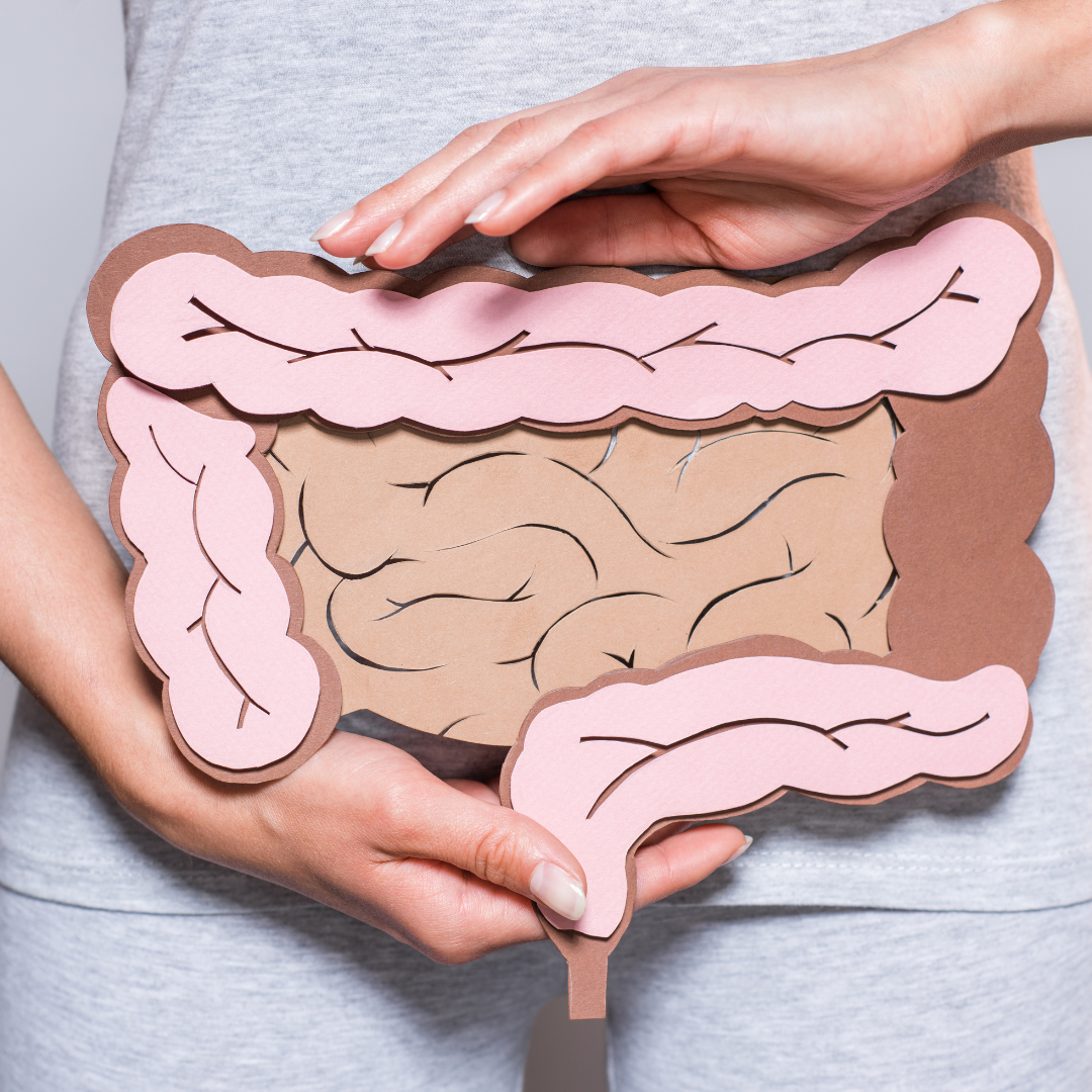 「腸がご機嫌だと、更年期がラクになる？知っておきたい腸のトリビア」