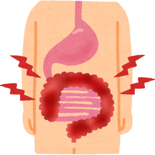 最近、気分の波が激しい？腸と女性ホルモンを整えてみて