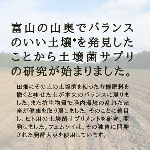 フェムソイ エクオール プラス　通常購入